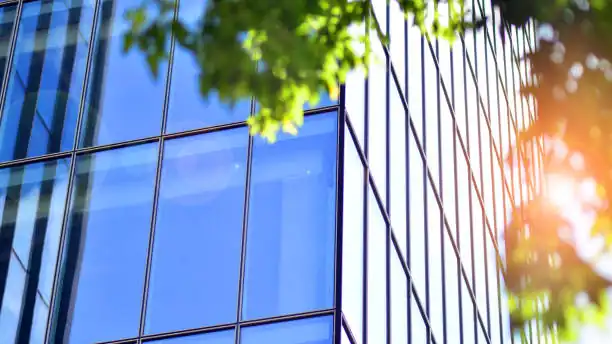 "شركة تنظيف واجهات زجاج - الزهرة البيضاء"